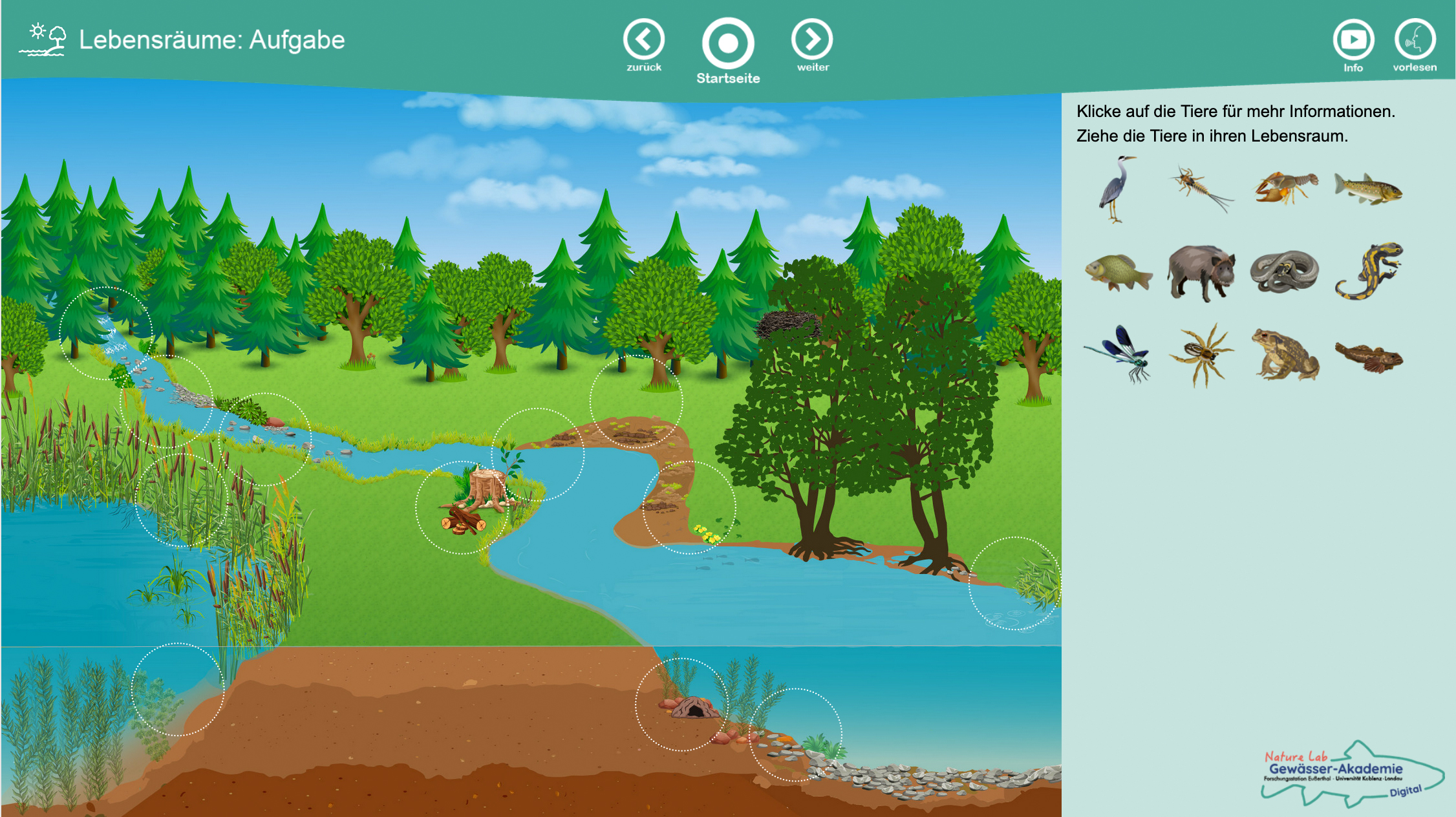 Digitale Gew&auml;sser-Akademie KIDS